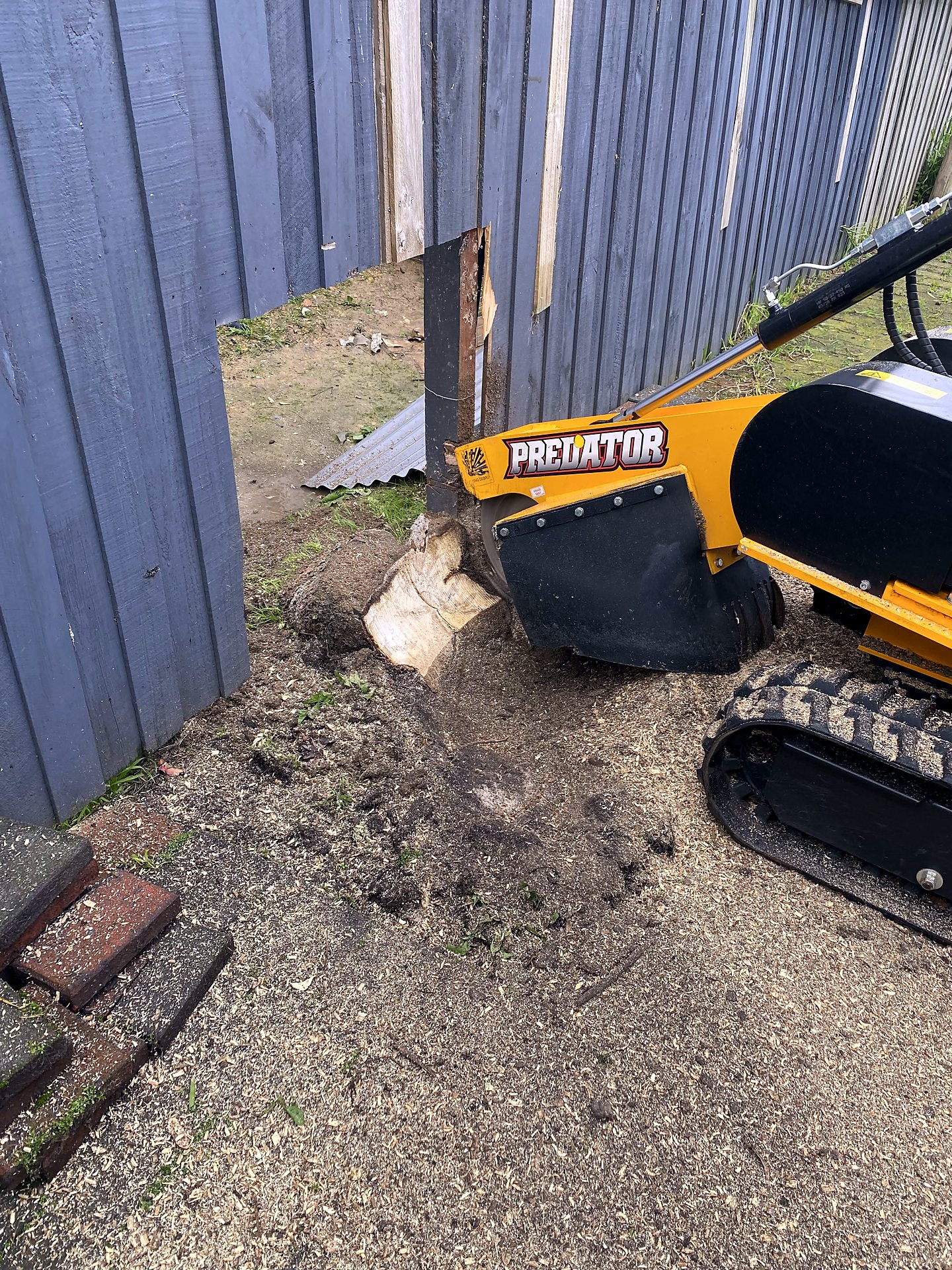 Stump grinder cutting out a stump beside a fence